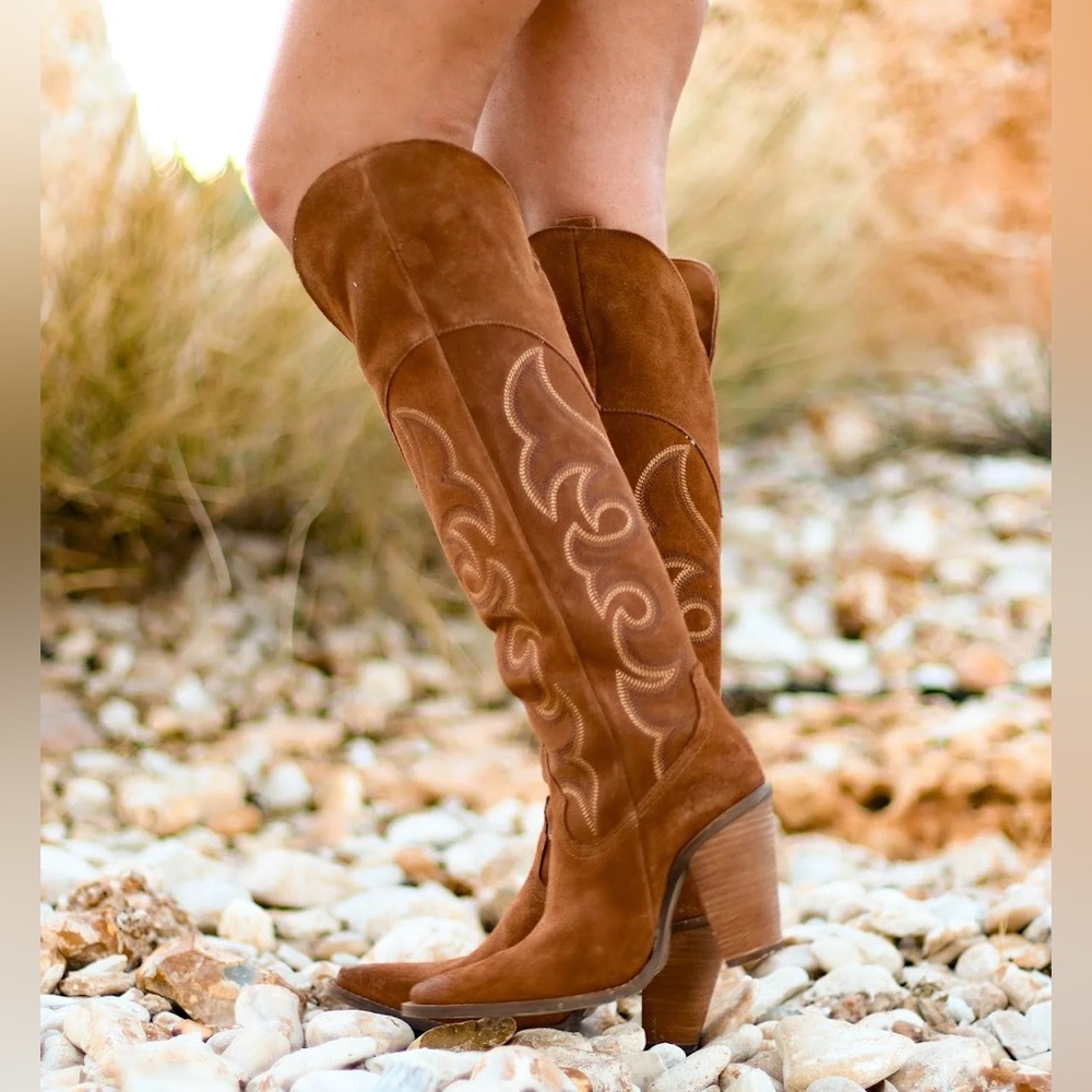 Dingo PRIMADONNA suede high heel boots 8